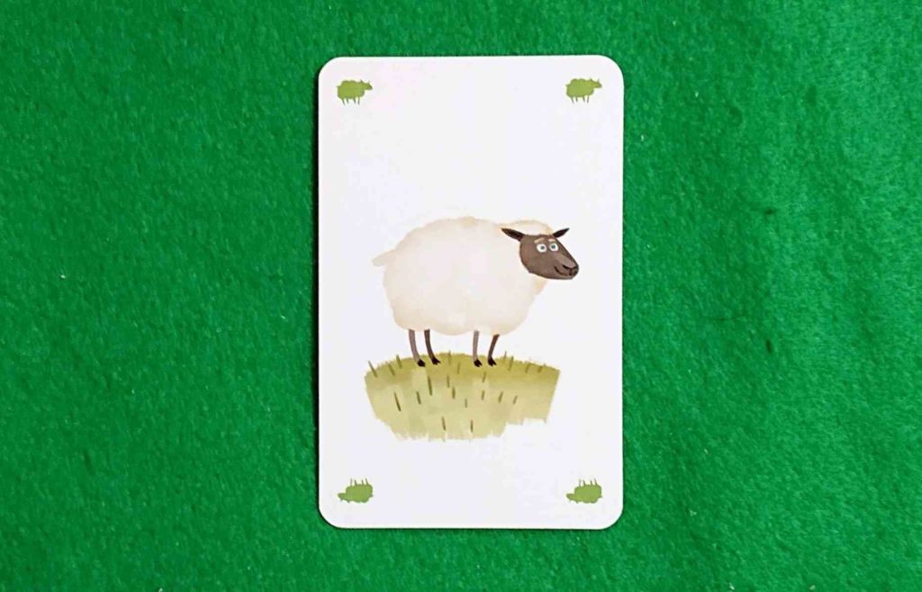 おろかな牛　ヒツジ