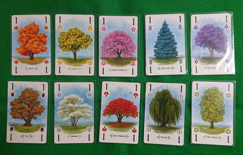 アーボレータム