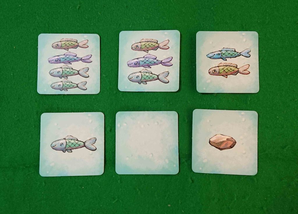 おさかなこいし