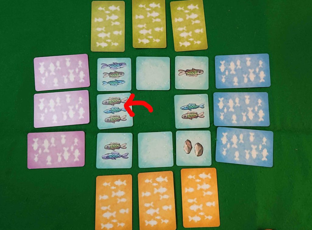 おさかなこいし