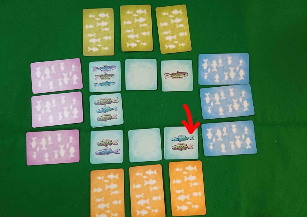 おさかなこいし