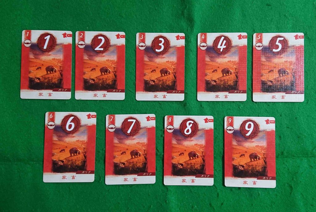 SENATOR（セネターズ）