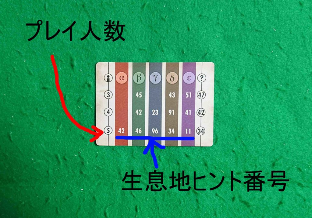 クリプティッド